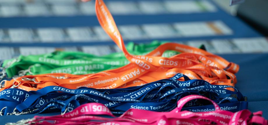 Operation CIEDS 2024: a look back at a day dedicated to defense and security