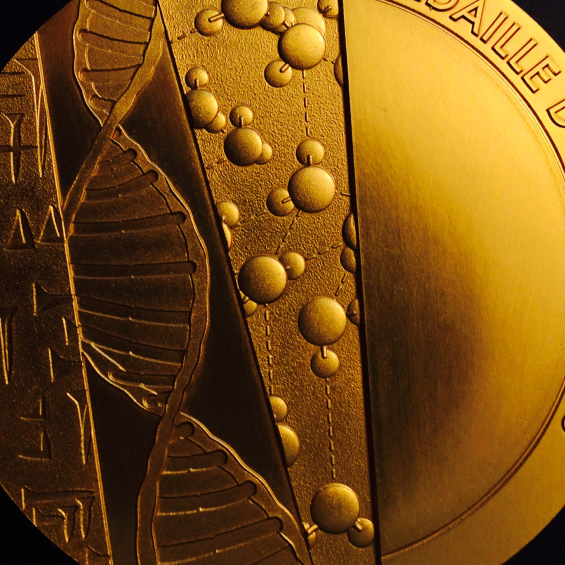 Three researchers from the Institut Polytechnique de Paris awarded CNRS medals