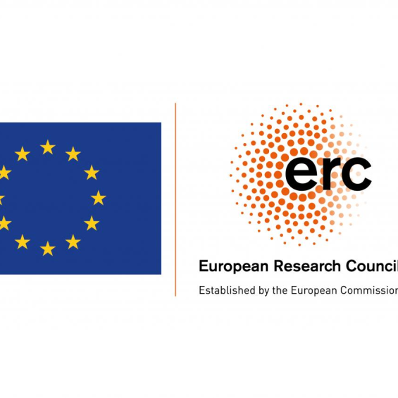 Two researchers from the Institut Polytechnique de Paris awarded ERC Synergy Grants 