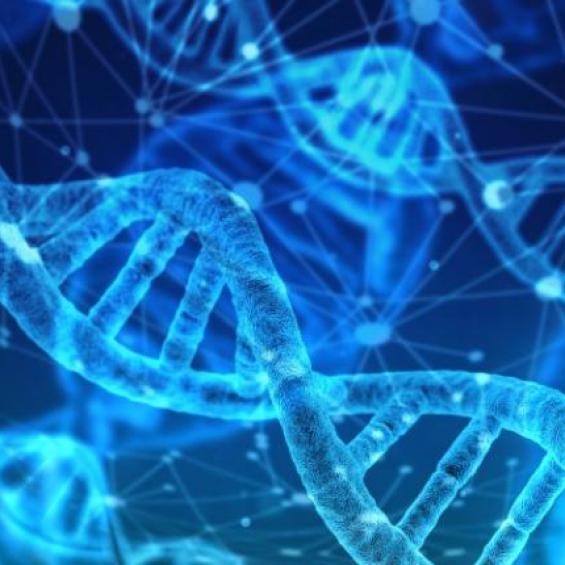 Master Year 1 in Biology, Biotechnology and Health